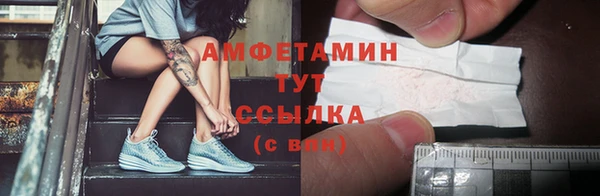 крисы Каменногорск