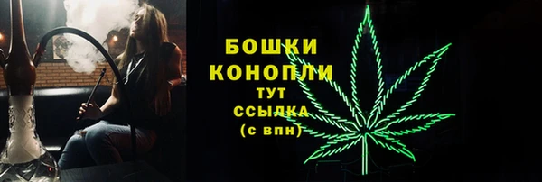 бутират Инсар