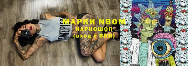 крисы Каменногорск