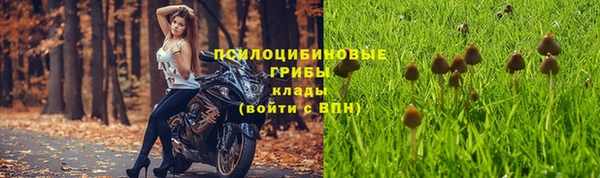 ешки Каменск-Шахтинский