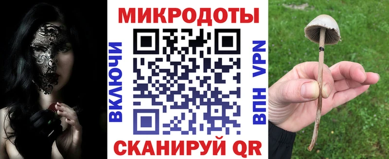 Купить где Гаврилов-Ям Галлюциногенные грибы Psilocybe
